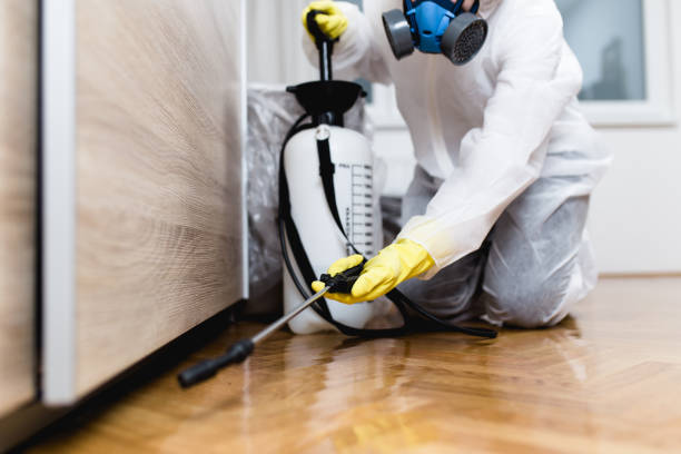 Best Pest Control for Homes  in Hominy, OK