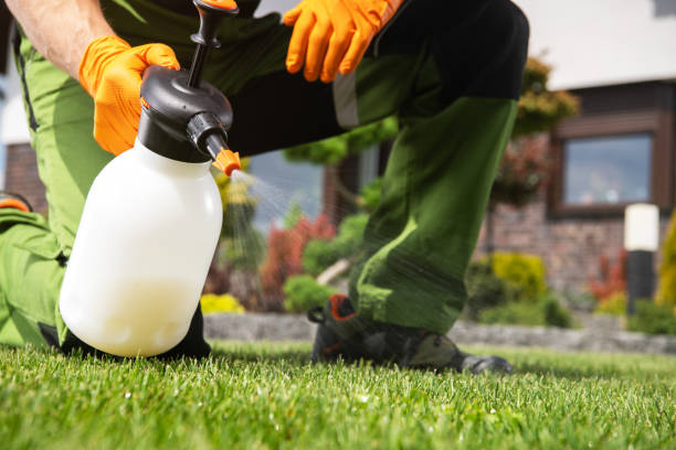 Best Termite Control Services  in Hominy, OK