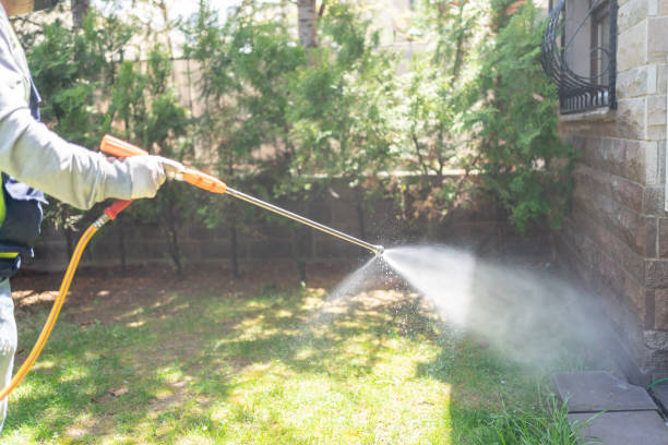 Best Pest Removal Services  in Hominy, OK