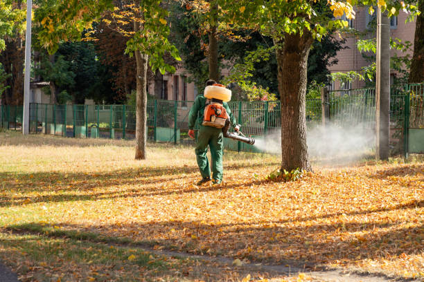 Best Bed Bug Extermination  in Hominy, OK