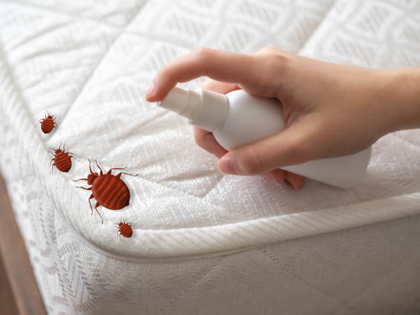 Best Cockroach Control Services  in Hominy, OK