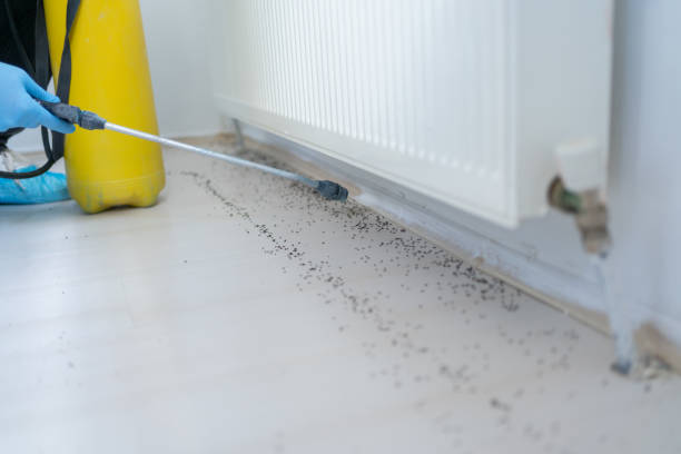 Best Emergency Pest Control  in Hominy, OK
