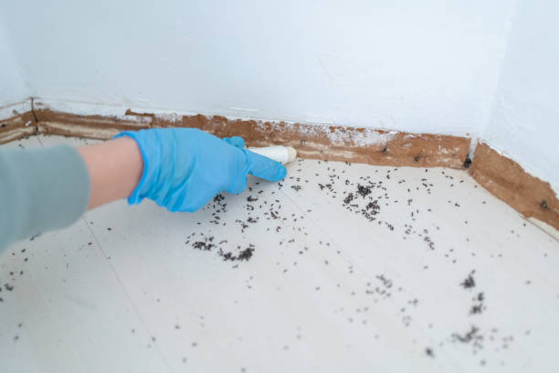 Best Exterminator Services  in Hominy, OK